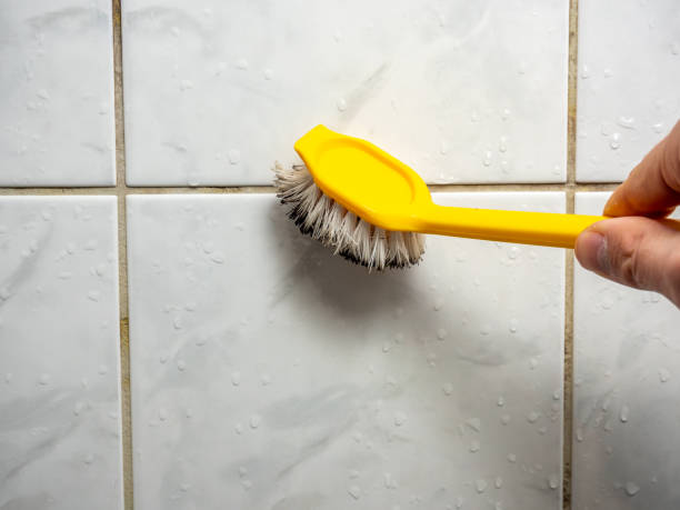 Mold Testing and Removal in Commercial Point, OH