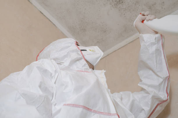 Best Crawl Space Mold Removal  in Commercial Point, OH