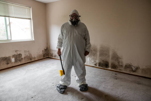 Trusted Commercial Point, OH Mold Removal Experts